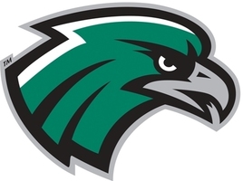 NSU Riverhawk Rally