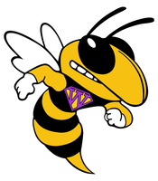 WHS Scholarship