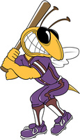 Yellowjacket Baseball Schedule